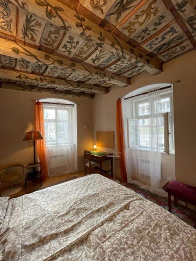Lejlighed Cool Historical 1 Bedroom In Mala Strana Prag